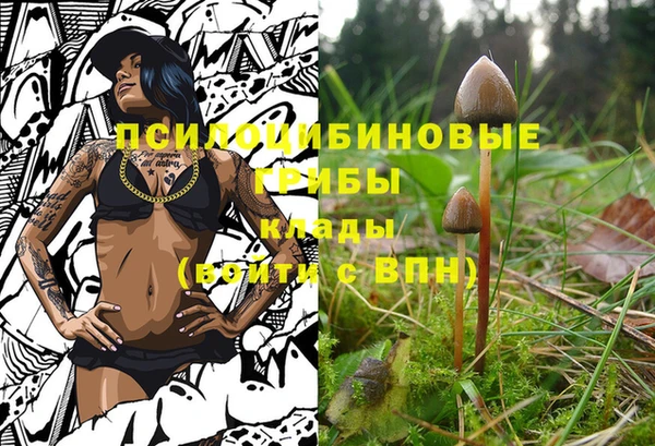 эйфоретик Краснотурьинск