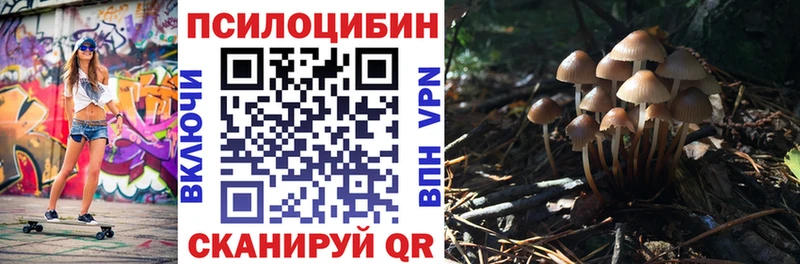 Галлюциногенные грибы Psilocybe Арзамас